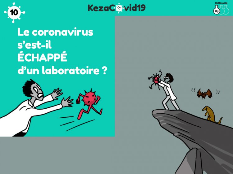 KezaCovid19 - 2 BDs : Virus cr en laboratoire ? et Virus chapp dun laboratoire ?
