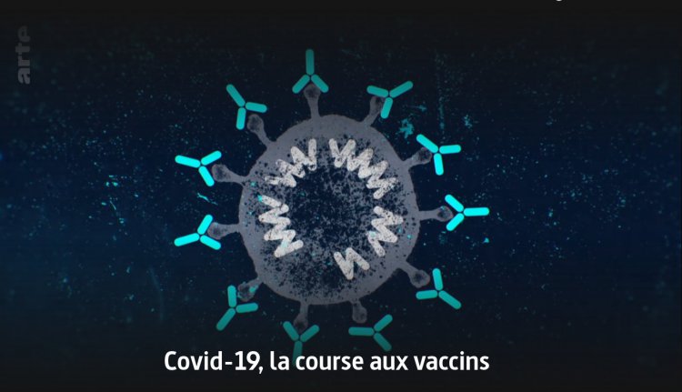 Covid-19, la course aux vaccins