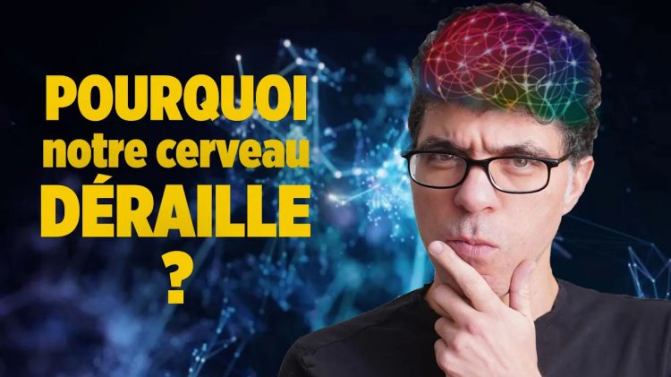Les BIAIS COGNITIFS, expliqués simplement par Mehdi Moussaïd alias Fouloscopie Les BIAIS COGNITIFS, expliqués simplement par Mehdi Moussaïd alias Fouloscopie